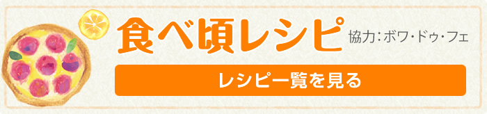 食べごろレシピ一覧